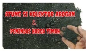 Kolektor Timah Ilegal